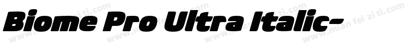 Biome Pro Ultra Italic字体转换